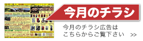 今月のチラシ広告